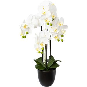 Creativ-green Kunstblume Orchidee, Phalaenopsis, weiß, im Resin-Topf, Höhe 69 cm