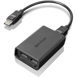 Lenovo DisplayPort zu (DisplayPort, DisplayPort), Video Adapter, Schwarz