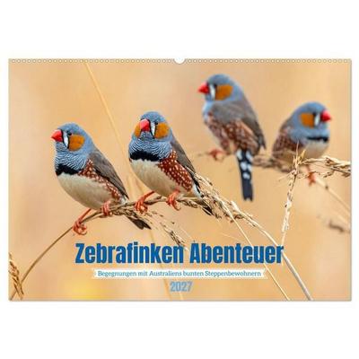 Zebrafinken Abenteuer (Wandkalender 2027 DIN A2 quer), CALVENDO Monatskalender