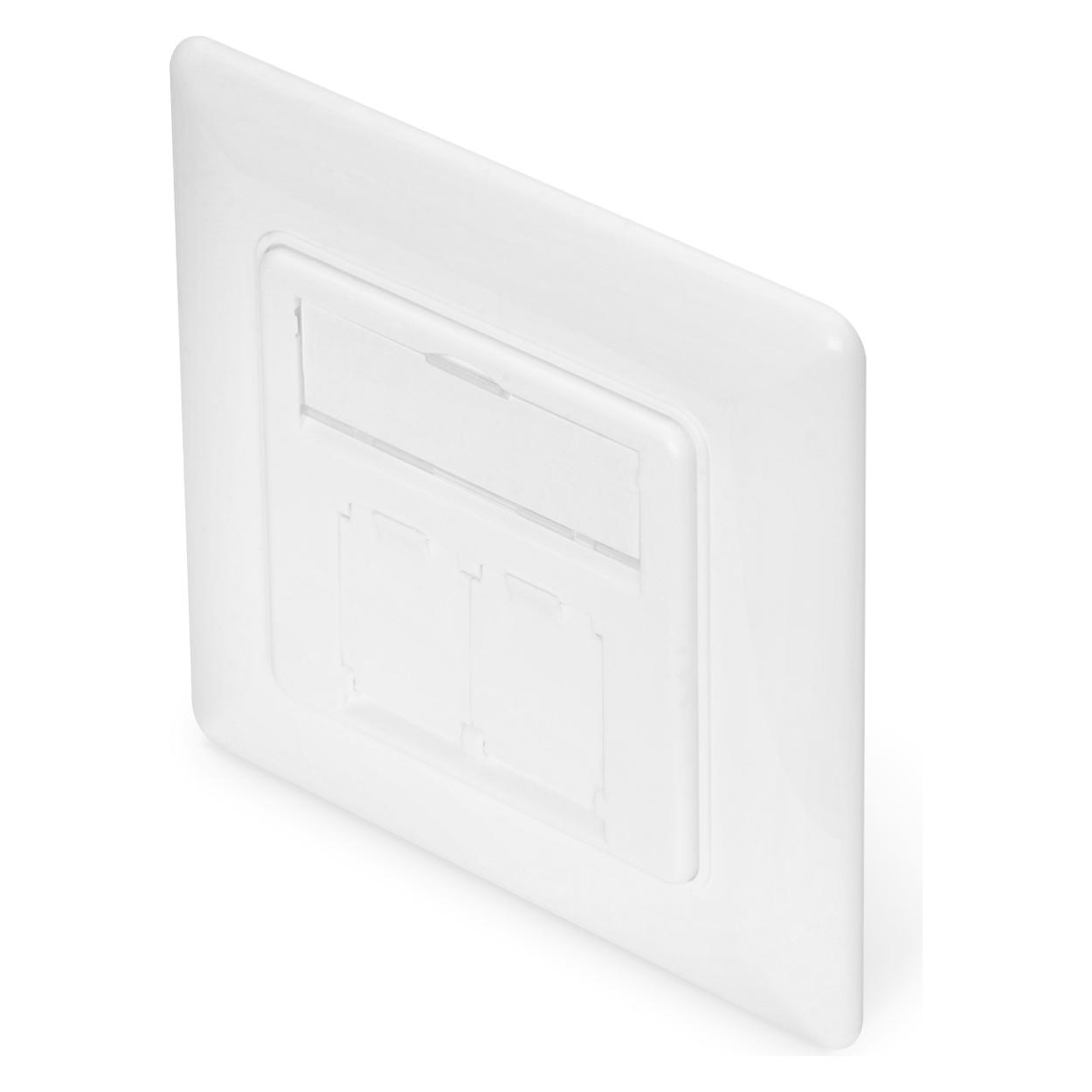 Digitus Frontplatte 50x50 Zentralplatte, RAL9003 mit 2x DN-93615-S Keystone Modulen (DN-93831-2)