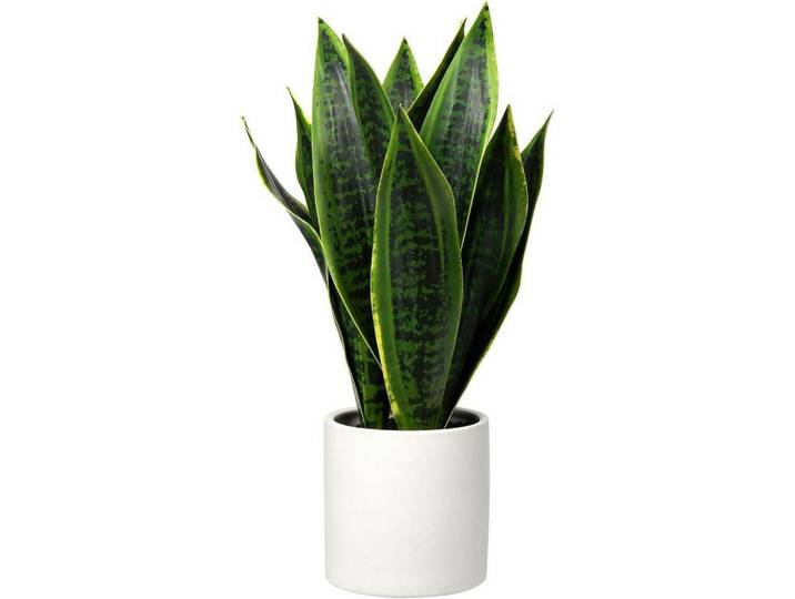 Kunstpflanze Sansevieria mit weißem Keramiktopf 40.6 cm, Grün, Kunststoff, 44 cm, Dekoration, Blumen & Blumentöpfe, Kunstpflanzen