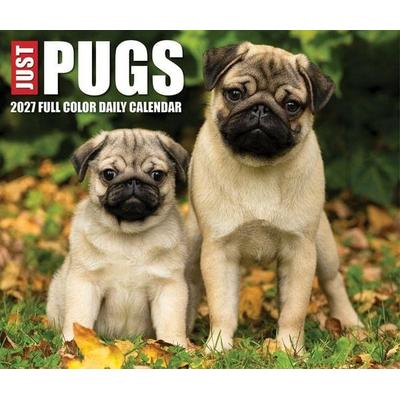 Just Pugs 2027 5.4 X 6.2 Box Calendar