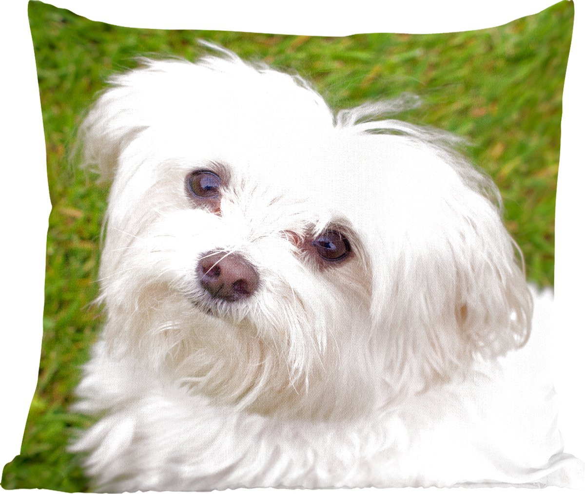 Sierkussen met Maltezer hond afbeelding - 60 x 60 cm