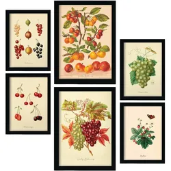POSTER Set Mit 6 Beeren In Vintage A3 & A4 Weißer Rahmen