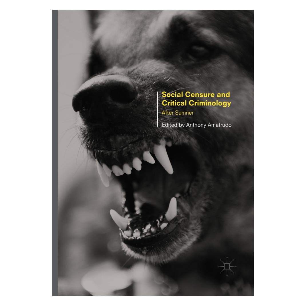 Springer Social Censure and Critical Criminology (Englisch, Softcover, Anthony Amatrudo) (56052643)