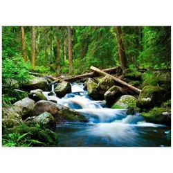 FOTOTAPETE Wasserfall 3D Natur 350x250