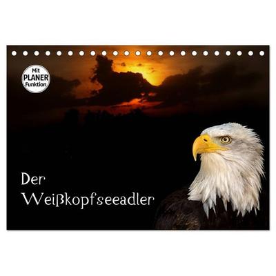 Der Weißkopfseeadler (Tischkalender 2027 DIN A5 quer), CALVENDO Monatskalender