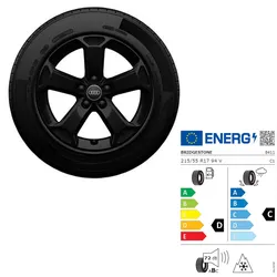 215/55 R17 94V Audi Q2 Winterkomplettrad im 5-Arm-Latus Design - links 81A073667
