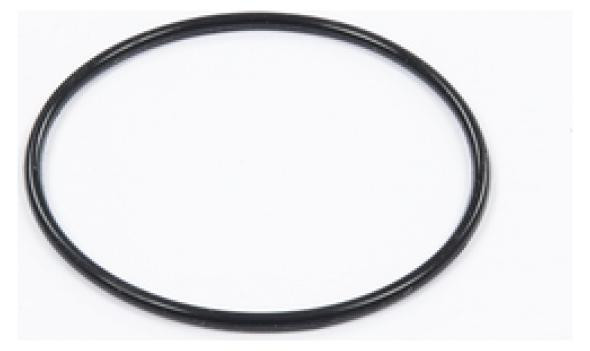 Bestway Strainer O-ring voor 530gal Zandfilter