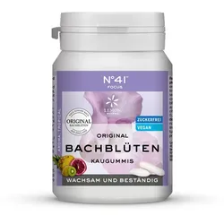 KONZENTRATION Kaugummi nach Dr.Bach 60 g