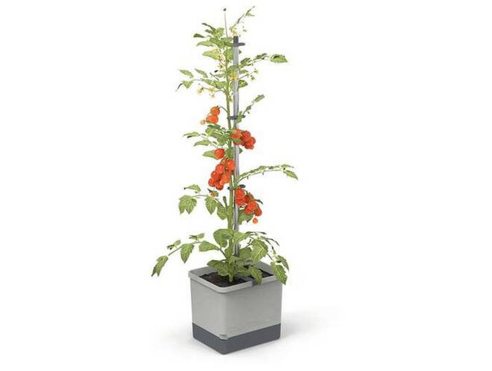 Gusta Garden Pflanzentopf TOM Tomato, Hellgrau, Kunststoff, rechteckig, 34.7x135.4x27.7 cm, Loch, frostgeeignet, Dekoration, Blumen & Blumentöpfe, Übertöpfe