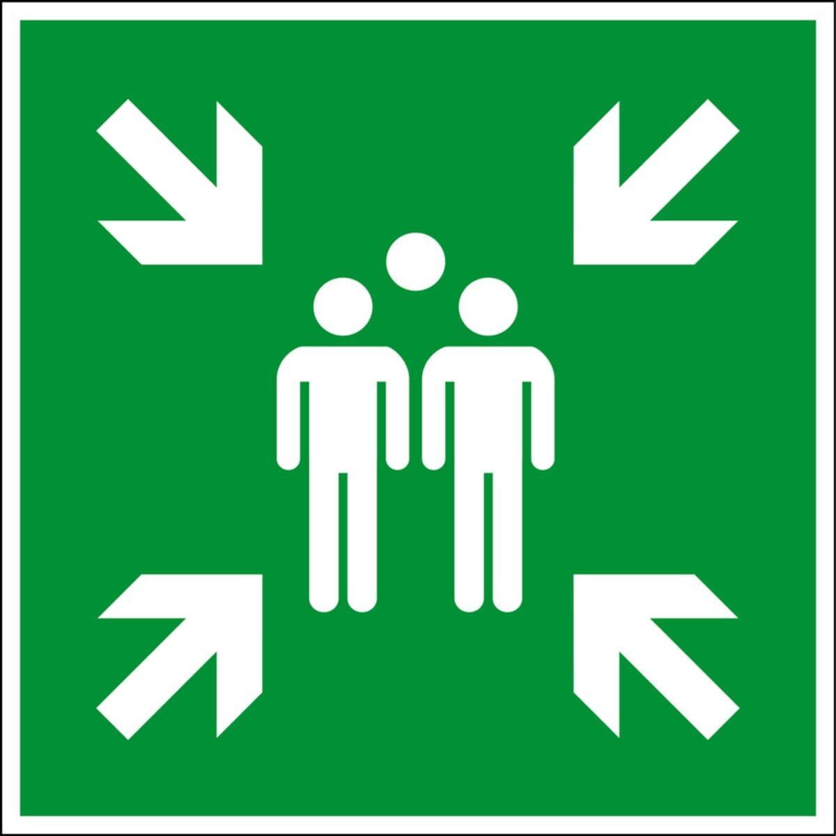 Eichner Fluchtwegsschild Sammelstelle 60 x 60 cm DIN EN ISO 7010 (9225-14025-060)