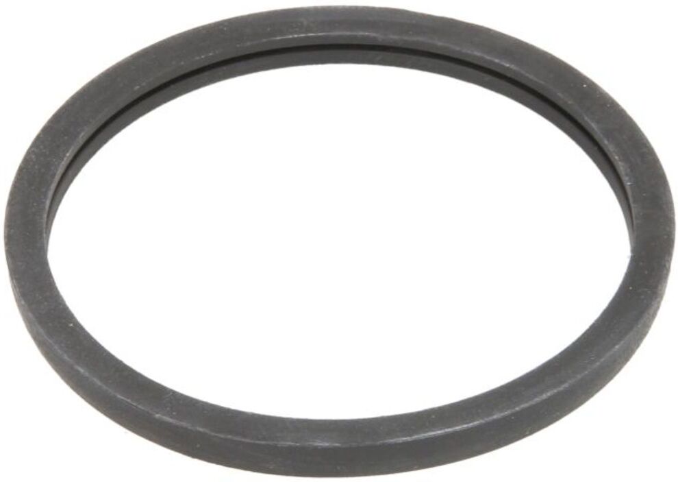 Borgwarner (Wahler) Dichtung, Thermostatgehäuse WAHLER 120389