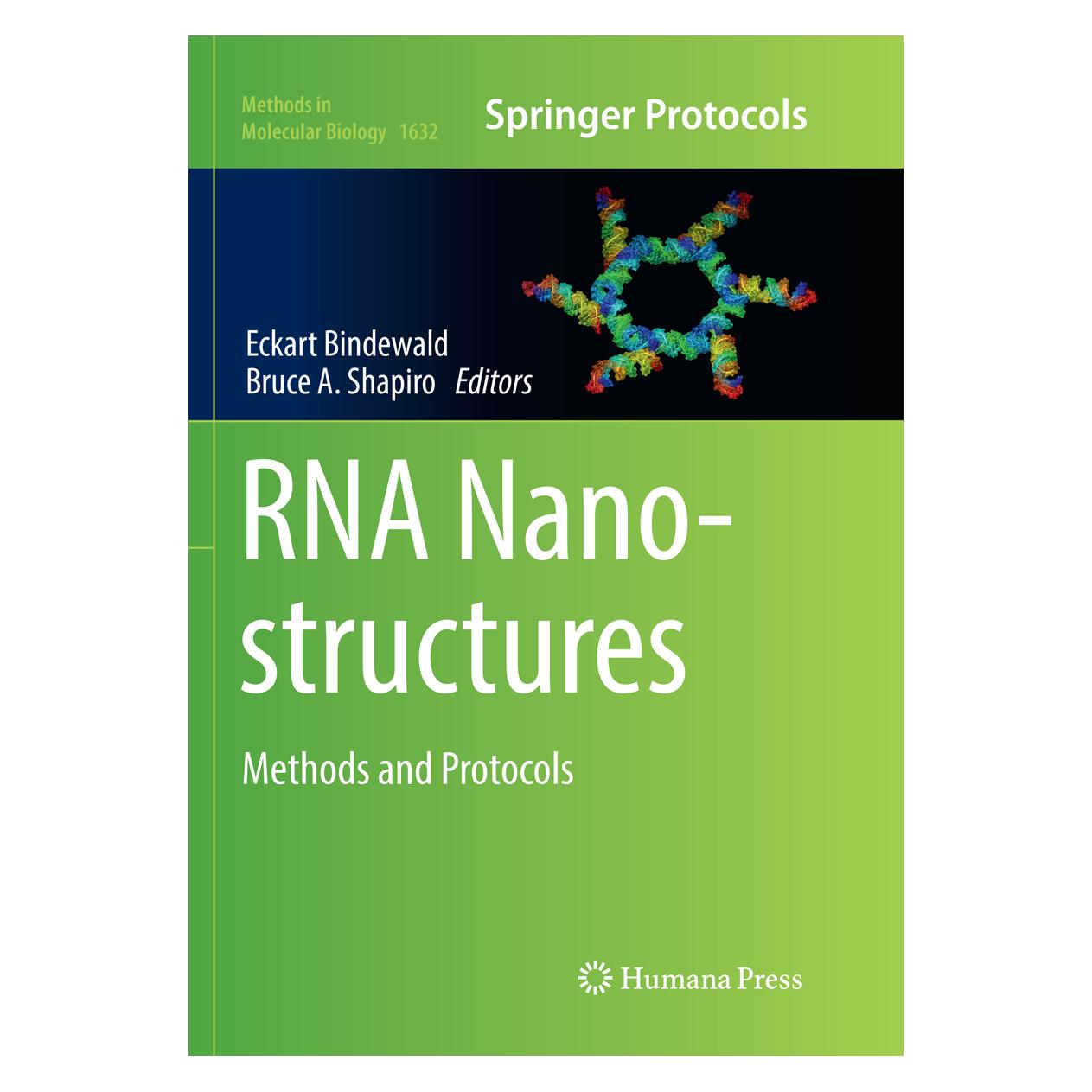 Springer RNA Nanostructures (Englisch, Softcover, Bruce A. Shapiro, Eckart Bindewald) (55998766)
