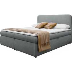BOXBETT Bonny - H3