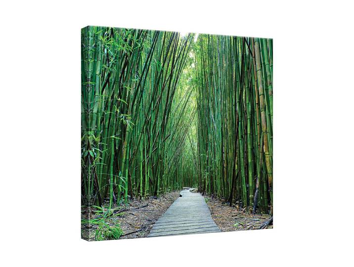 Wandbild 65x65 Bamboo
