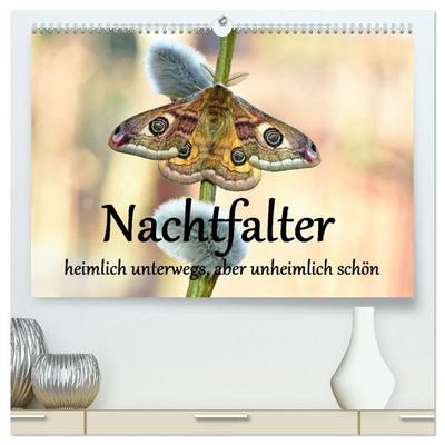 Nachtfalter - heimlich unterwegs, aber unheimlich schön (hochwertiger Premium Wandkalender 2026 DIN A2 quer), Kunstdruck in Hochglanz