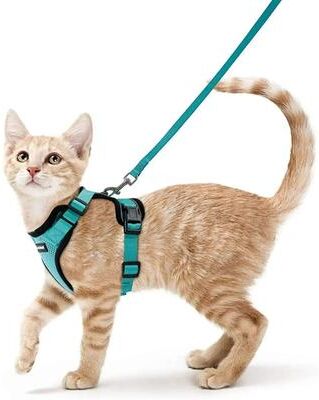 Uplift Essentials Escape Proof Soft Adjustable Vest Harness green s