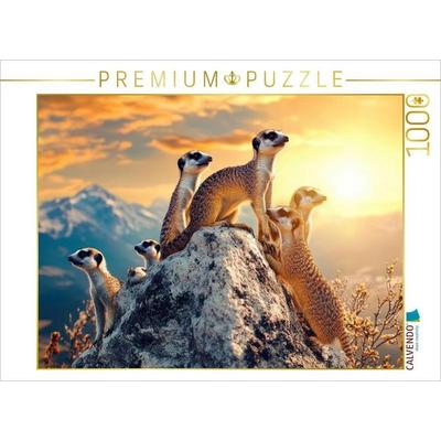 CALVENDO Puzzle Hey, ich will auch mal von oben gucken | 1000 Teile Lege-Größe 64x48cm Foto-Puzzle für glückliche Stunden, Sonstige von , Calvendo