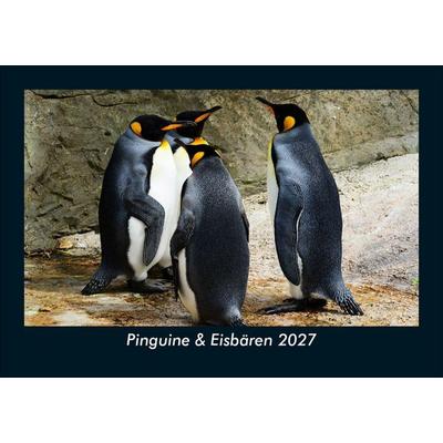 Pinguine & Eisbären 2027 Fotokalender DIN A5