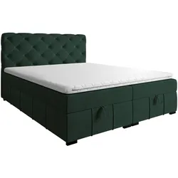 BOXBETT Gisel