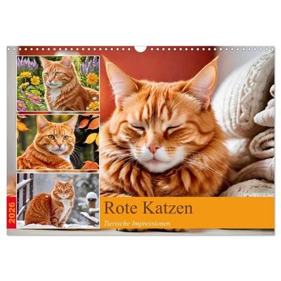Rote Katzen (Wandkalender 2026 DIN A3 quer), CALVENDO Monatskalender