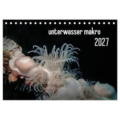 unterwasser makro 2027 (Tischkalender 2027 DIN A5 quer), CALVENDO Monatskalender