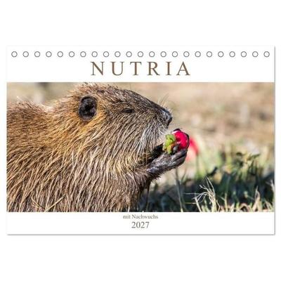 NUTRIA mit Nachwuchs (Tischkalender 2027 DIN A5 quer), CALVENDO Monatskalender