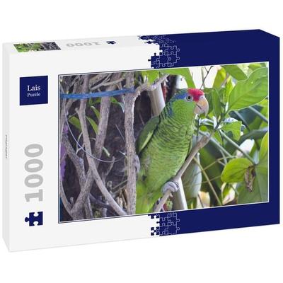 Lais Puzzle Papagei 1000 Teile