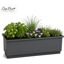 Casa Pura, Blumentopf, Balkonkasten Viola (19 x 50 x 17 cm)