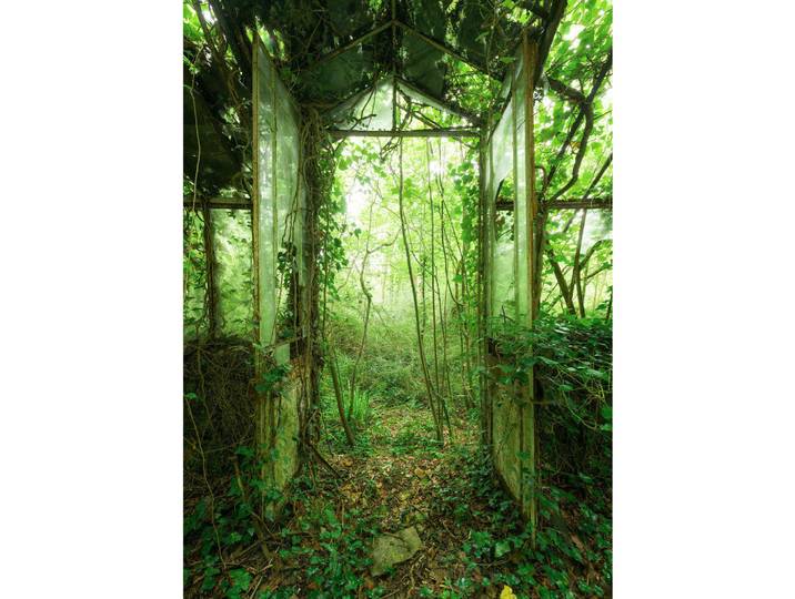Fototapete, Grün, Papier, Objekte, 200x280 cm, Tapeten & Wandverkleidungen, Fototapeten