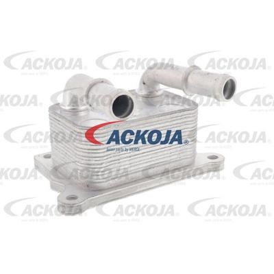 ACKOJA Ölkühler, Motoröl a38600004 für NISSAN