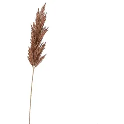 BOLTZE Kunstpflanze Pampasgras 117 cm Kunststoff Braun