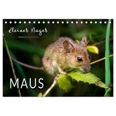 Kleiner Nager - Maus (Tischkalender 2027 DIN A5 quer), CALVENDO Monatskalender