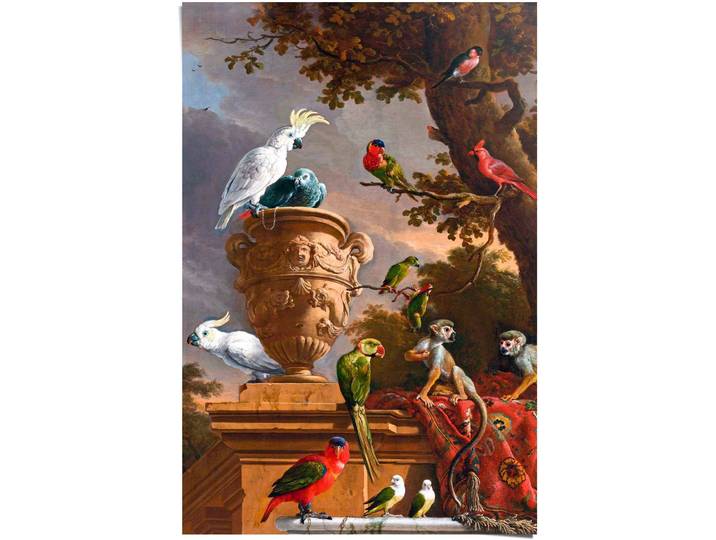 Poster REINDERS De Menagerie - Melchior d'Hondecoeter , bunt (farbe bild(er): bunt), B:61cm H:91,5cm T:0,1cm, Papier, Bilder, Poster