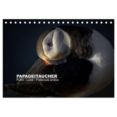 Papageitaucher: Puffin - Lundi - Fratercula arctica (Tischkalender 2027 DIN A5 quer), CALVENDO Monatskalender