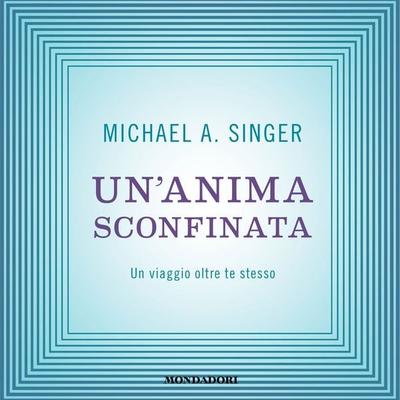 Un'anima sconfinata - Michael A. Singer, Audio, 9788852155055