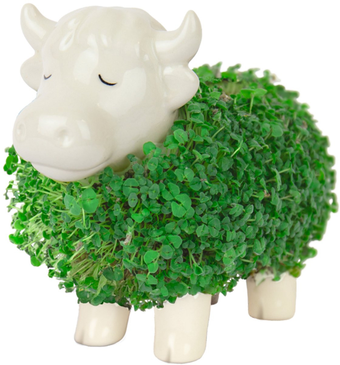 Gift Republic Plantenpot met chiazaden Highland Cow voor op tafel