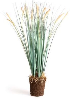 Porch & Petal "Field Grass Drop-In 35"""