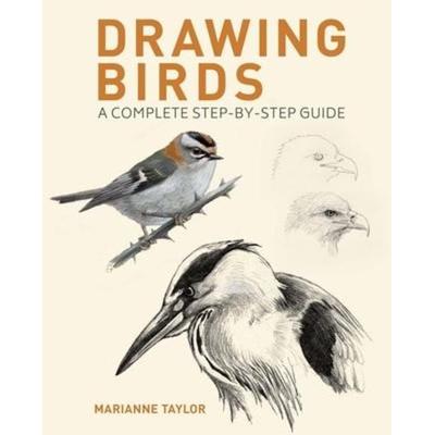 Drawing Birds, Taschenbuch von Marianne Taylor, Arcturus Publishing, 978-1-398-83049-3
