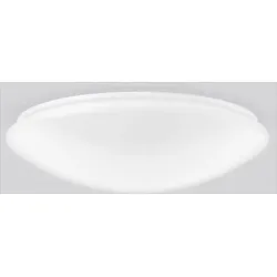RZB LED-Decken-/Wandleuchte 830/840 312796.002.19