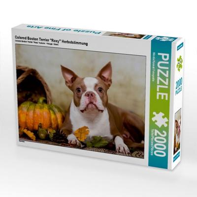 Colored Boston Terrier 'Roxy' Herbststimmung (Puzzle)