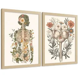 POSTER Set aus 2 Anatomie Mensch Drucke und mit Weiblicher Silhouette und Fortpflanzungssystem Botanischer Stil Größe Leichter Holzrahmen A4