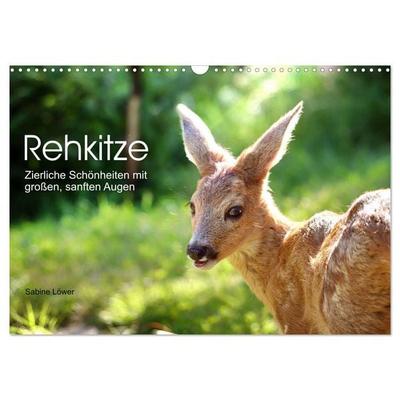 Rehkitze, zierliche Schönheiten mit großen, sanften Augen (Wandkalender 2026 DIN A3 quer), CALVENDO Monatskalender