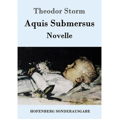 Aquis Submersus, Taschenbuch von Theodor Storm, Hofenberg, 978-3-86199-760-3