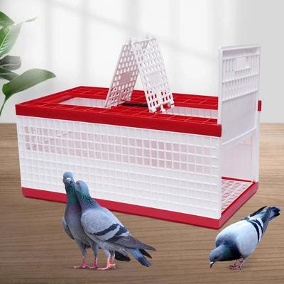 Multicon Wholesale Hub Racing Pigeon Carrier Box With Secure Doors Bird Training Cage Racing Pigeon Carrier Box With Secure Doors Bird Training Cage
