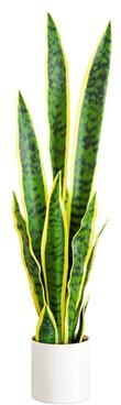 Nearly Natural 30-in Artificial Sansevieria Plant - Green