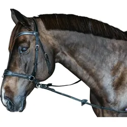 Trense Working Motion Working By Dyon Schwarz / Full