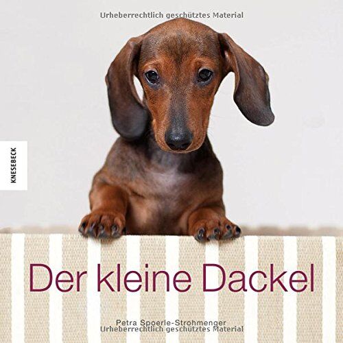 Petra Spoerle-Strohmenger - Der kleine Dackel - Preis vom 14.10.2026 23:07:16 h