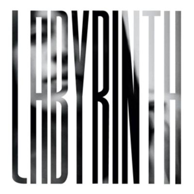 Labyrinth (Grey Vinyl) - Heather Woods Broderick, Vinyl
